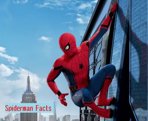 Spiderman facts